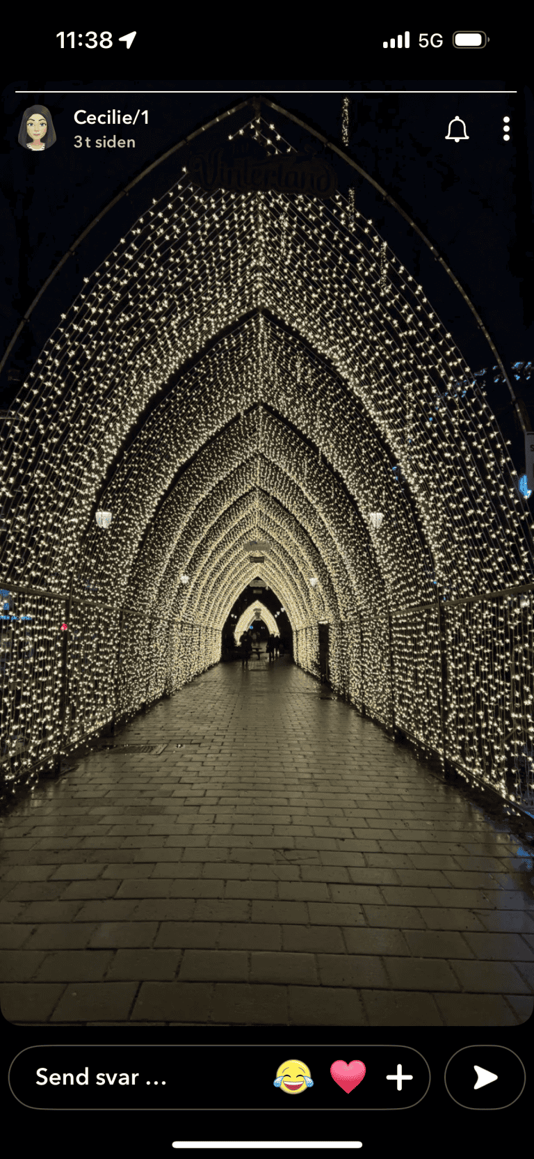 God Jol og Godt Nyttår. Ljos i tunnelen.