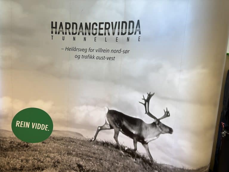 Dyranuttnnelen gir overgang for villreinen